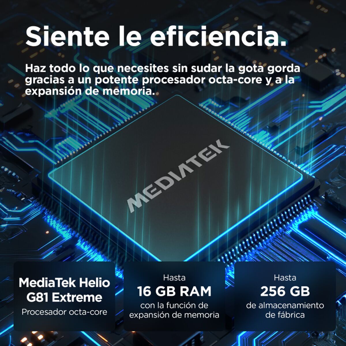 M0806731_25