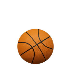 Basketballs