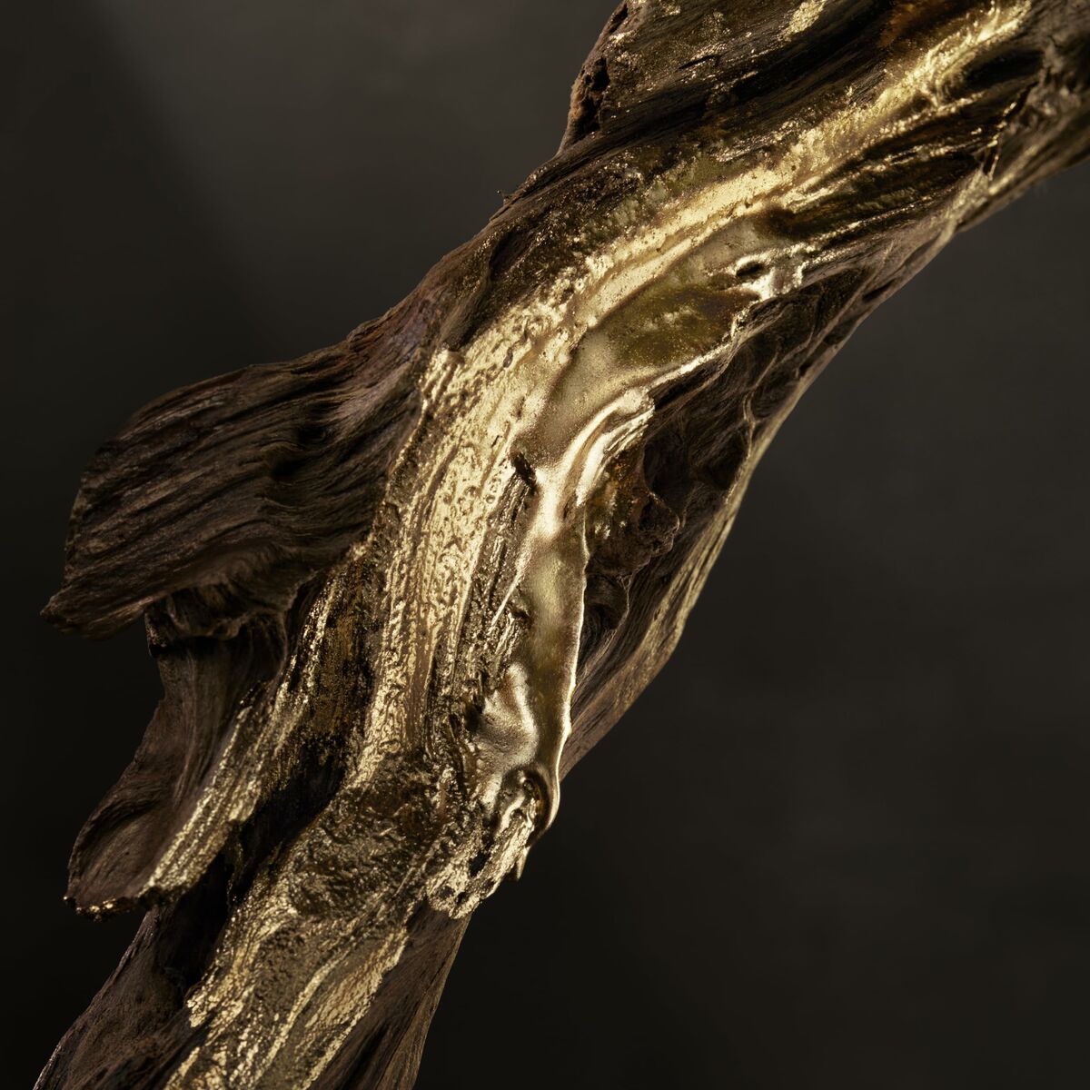 S05126646_15