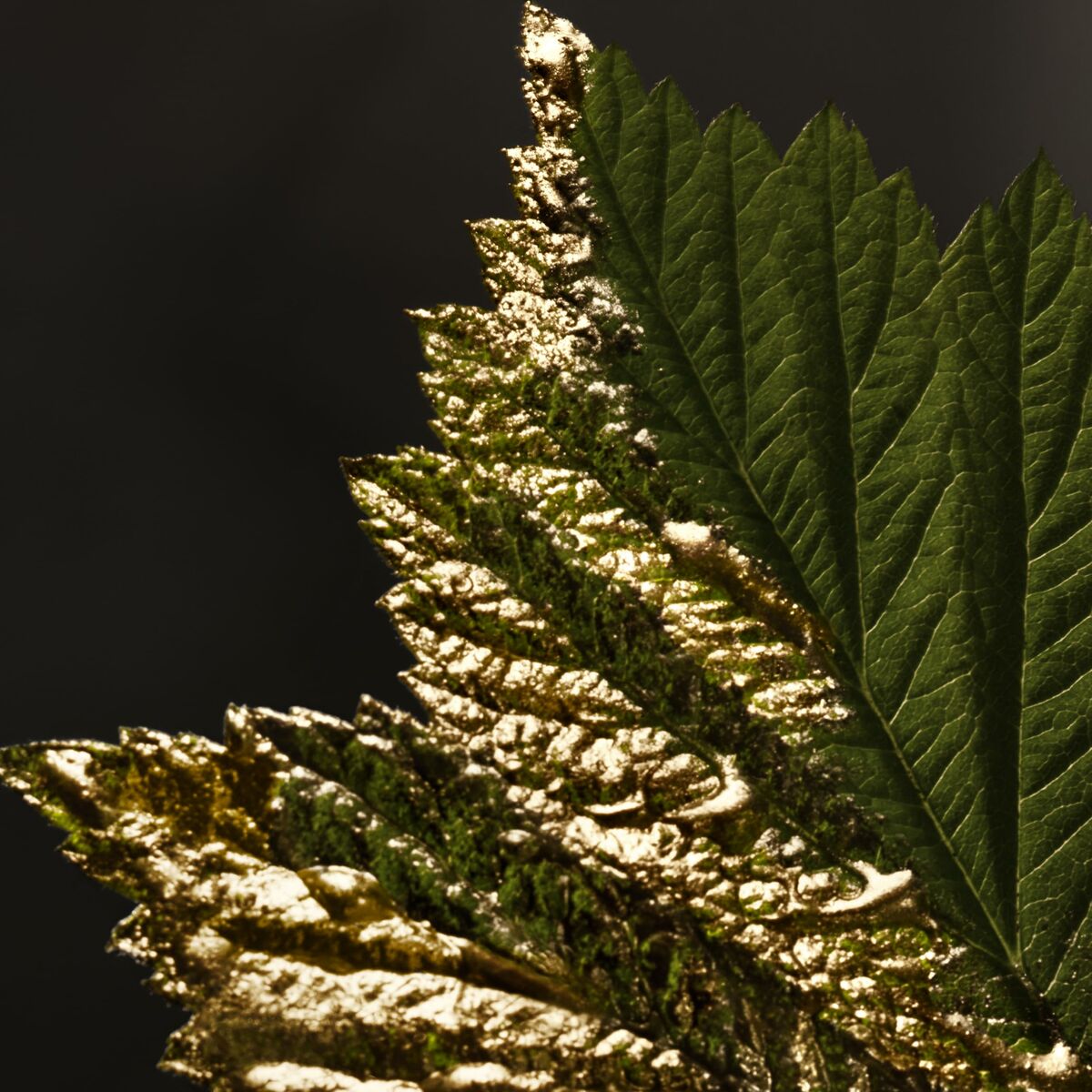 S05126646_16