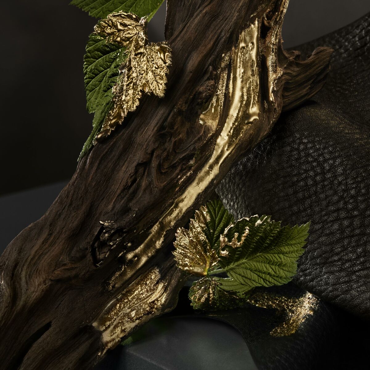 S05126646_13