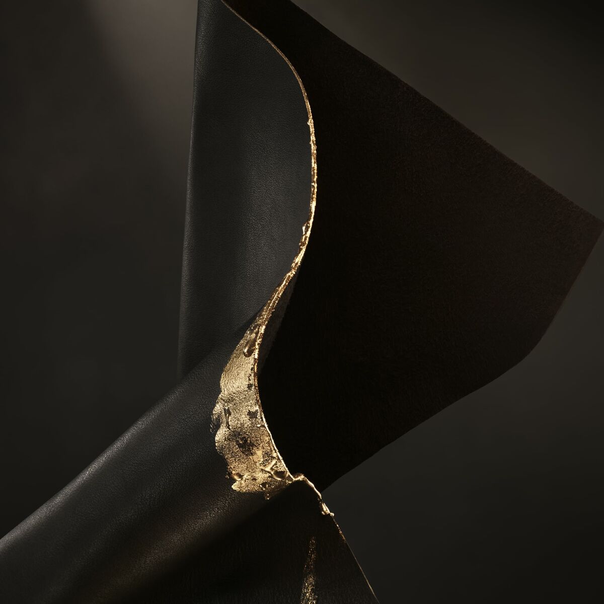 S05126646_14